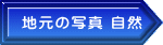 �n���̎ʐ^ ���R 